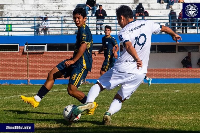 WhatsApp Image 2025-07-21 at 09.53.01